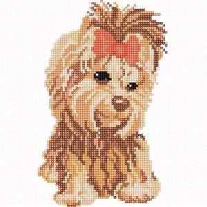 Meet your Posher, Janet